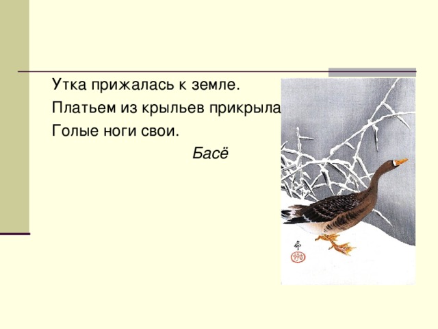 Утка прижалась к земле. Платьем из крыльев прикрыла Голые ноги свои.  Басё