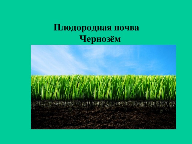 Плодородная почва  Чернозём