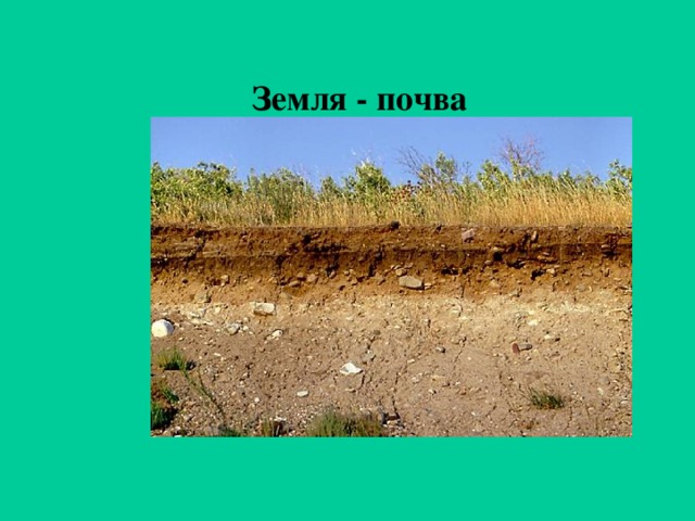 Земля - почва