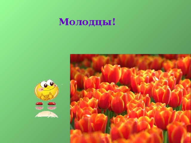 Молодцы!