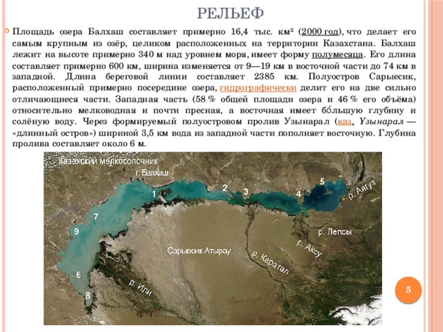 Рельеф Площадь озера Балхаш составляет примерно 16,4 тыс. км² ( 2000 год ), что делает его самым крупным из озёр, целиком расположенных на территории Казахстана. Балхаш лежит на высоте примерно 340 м над уровнем моря,  имеет форму  полумесяца . Его длина составляет примерно 600 км, ширина изменяется от 9—19 км в восточной части до 74 км в западной. Длина береговой линии составляет 2385 км. Полуостров Сарыесик, расположенный примерно посередине озера,  гидрографически  делит его на две сильно отличающиеся части. Западная часть (58 % общей площади озера и 46 % его объёма)  относительно мелководная и почти пресная, а восточная имеет бо́льшую глубину и солёную воду. Через формируемый полуостровом пролив Узынарал ( каз .  Ұзынарал  — «длинный остров») шириной 3,5 км вода из западной части пополняет восточную. Глубина пролива составляет около 6 м.