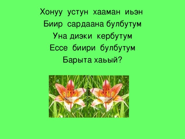 Хонуу устун хааман иьэн Биир сардаана булбутум Уна диэки кербутум Ессе биири булбутум Барыта хаьый?