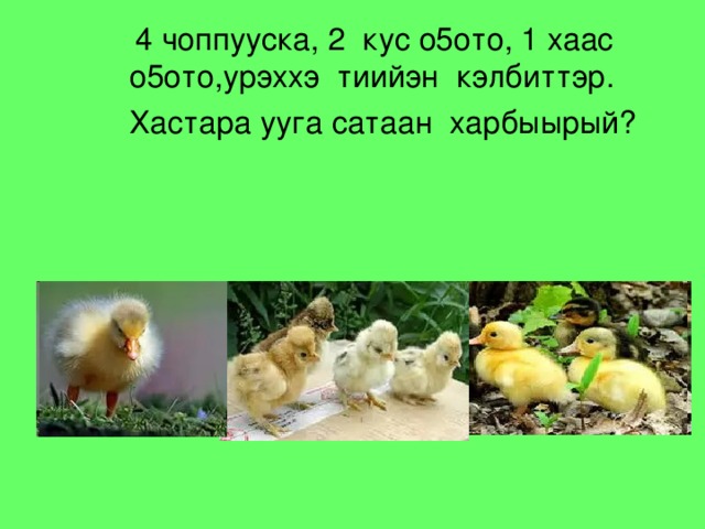 4 чоппууска, 2 кус о5ото, 1 хаас  о5ото,урэххэ тиийэн кэлбиттэр.  Хастара ууга сатаан харбыырый?