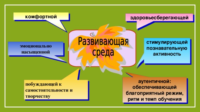 комфортной здоровьесберегающей стимулирующей познавательную активность  эмоционально насыщенной аутентичной: обеспечивающей благоприятный режим, ритм и темп обучения побуждающей к самостоятельности и творчеству