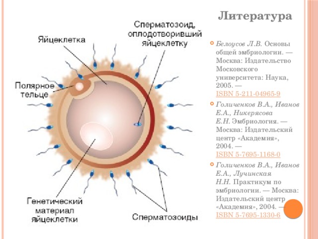 Литература