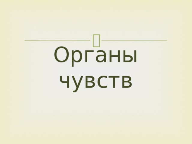 Органы чувств