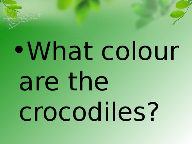 What colour are the crocodiles?