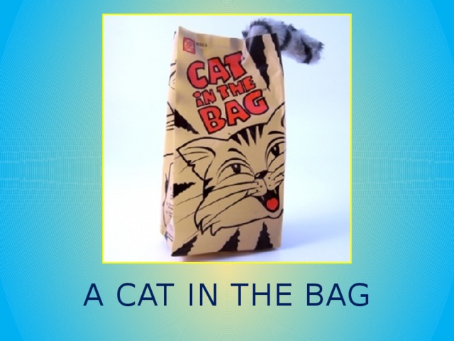 A CAT IN THE BAG