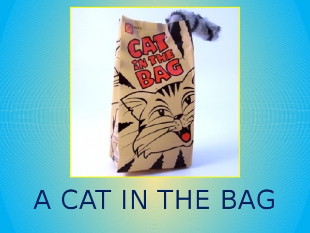 A CAT IN THE BAG