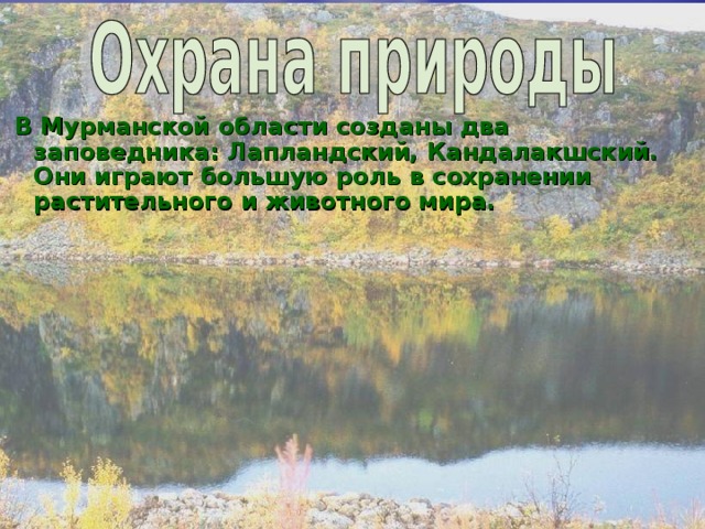 В Мурманской области созданы два заповедника: Лапландский, Кандалакшский. Они играют большую роль в сохранении растительного и животного мира.