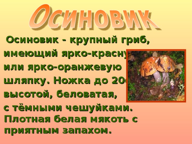 Осиновик - крупный гриб,  имеющий ярко-красную  или ярко-оранжевую  шляпку. Ножка до 20см  высотой, беловатая,  с тёмными чешуйками. Плотная белая мякоть с приятным запахом.