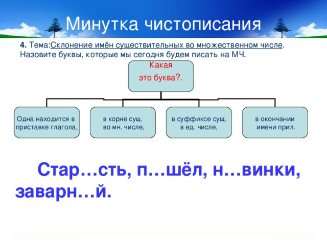 Минутка чистописания 4. Тема: Склонение имён существительных во множественном числе . Назовите буквы, которые мы сегодня будем писать на МЧ. Какая это буква ?. в суффиксе сущ. в ед. числе, в окончании  имени прил. в корне сущ.  во мн. числе, Одна находится в приставке глагола,  Стар…сть, п…шёл, н…винки, заварн…й.  8