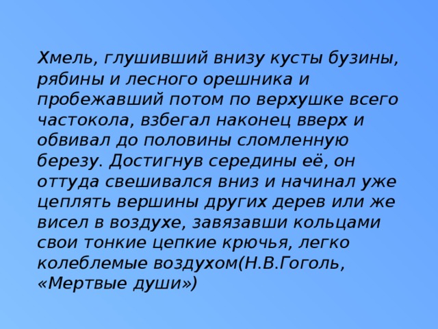 Хмель, глушивший внизу кусты бузины, рябины и лесного орешника и пробежавший потом по верхушке всего частокола, взбегал наконец вверх и обвивал до половины сломленную березу. Достигнув середины её, он оттуда свешивался вниз и начинал уже цеплять вершины других дерев или же висел в воздухе, завязавши кольцами свои тонкие цепкие крючья, легко колеблемые воздухом(Н.В.Гоголь, «Мертвые души»)