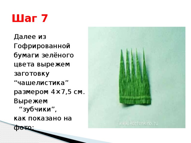 Шаг 7 Далее из Гофрированной бумаги зелёного цвета вырежем заготовку “ чашелистика” размером 4×7,5 см. Вырежем “зубчики”, как показано на фото:
