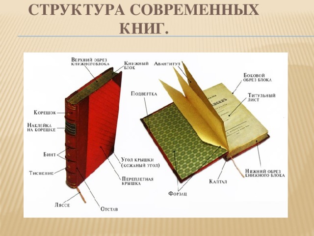 Структура современных книг.