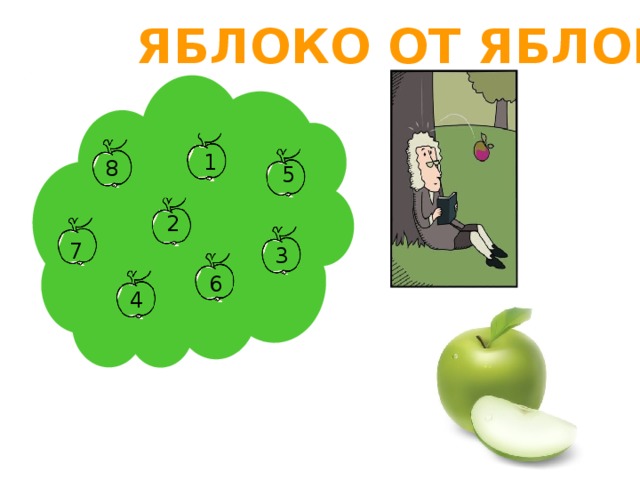 Яблоко от яблони 9 1 8 5 8 5 2 7 3 6 4