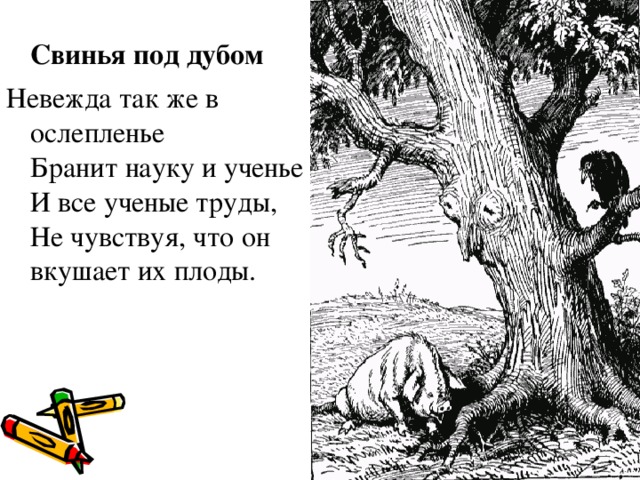 Свинья под дубом Невежда так же в ослепленье Бранит науку и ученье И все ученые труды, Не чувствуя, что он вкушает их плоды.