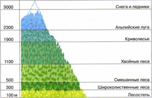 По рисунку 114 расскажите об особенностях высотной поясности в андах