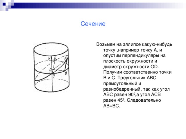 Сечение Возьмем на эллипсе какую-нибудь точку ,например точку А, и опустим перпендикуляры на плоскость окружности и диаметр окружности OD . Получим соответственно точки В и С. Треугольник АВС прямоугольный и равнобедренный, так как угол АВС равен 90 º ,а угол АСВ равен 45 º . Следовательно АВ=ВС.