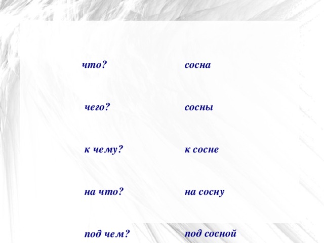 сосна сосны к сосне на сосну под сосной на сосне что?  чего?  к чему?  на что?  под чем?  на чём?