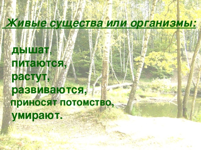 Живые существа или организмы:   дышат ,  питаются,  растут,  развиваются,  приносят потомство,  умирают. 4