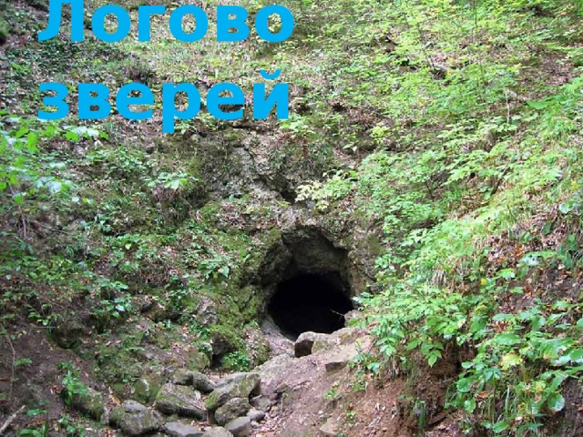 Логово зверей