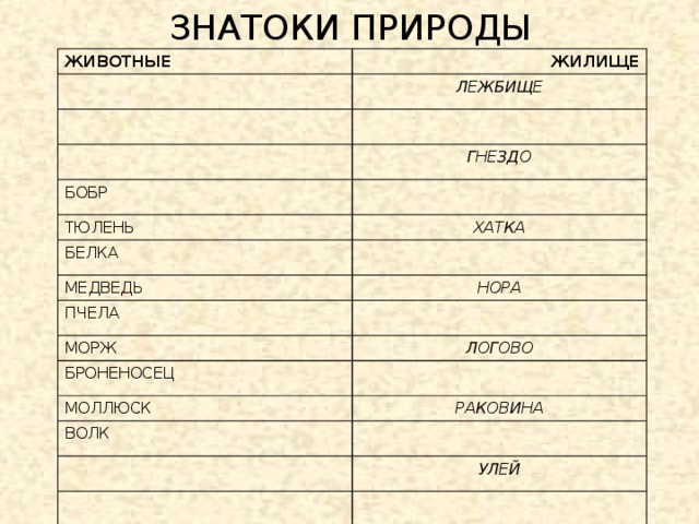 ЗНАТОКИ ПРИРОДЫ ЖИВОТНЫЕ ЖИЛИЩЕ ЛЕЖБИЩЕ ГНЕЗДО БОБР ТЮЛЕНЬ ХАТКА БЕЛКА МЕДВЕДЬ НОРА ПЧЕЛА МОРЖ ЛОГОВО БРОНЕНОСЕЦ МОЛЛЮСК РАКОВИНА ВОЛК УЛЕЙ БЕРЛОГА