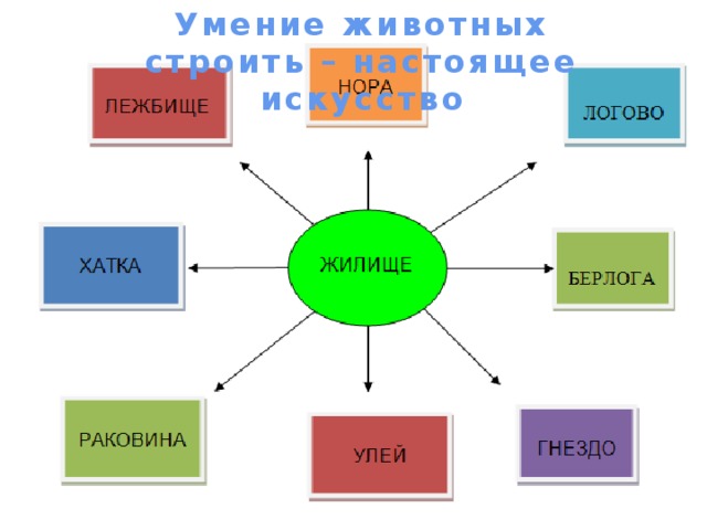 Умение животных строить – настоящее искусство