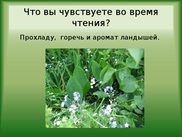 Что вы чувствуете во время чтения? Прохладу, горечь и аромат ландышей.