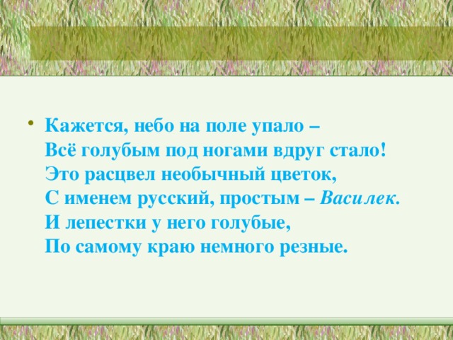 Кажется, небо на поле упало –  Всё голубым под ногами вдруг стало!  Это расцвел необычный цветок,  С именем русский, простым – Василек.  И лепестки у него голубые,  По самому краю немного резные.