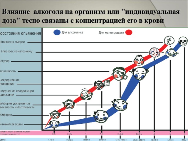 Влияние алкоголя на организм или 