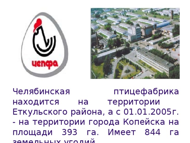 Челябинская птицефабрика находится на территории Еткульского района, а с 01.01.2005г. - на территории города Копейска на площади 393 га. Имеет 844 га земельных угодий.