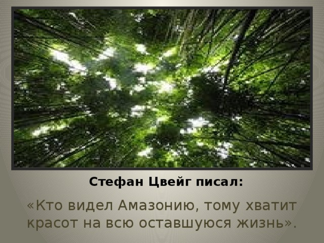 Стефан Цвейг писал: «Кто видел Амазонию, тому хватит красот на всю оставшуюся жизнь».