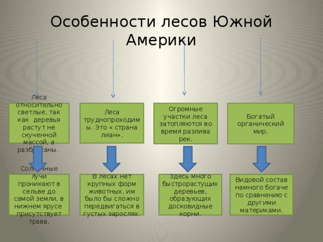 Особенности лесов Южной Америки Богатый органический мир. Огромные участки леса затопляются во время разлива рек. Леса труднопроходимы. Это « страна лиан». Леса относительно светлые, так как деревья растут не скученной массой, а разбросаны. Солнечные лучи проникают в сельве до самой земли, в нижнем ярусе присутствует трава. В лесах нет крупных форм животных, им было бы сложно передвигаться в густых зарослях. Здесь много быстрорастущих деревьев, образующих досковидные корни. Видовой состав намного богаче по сравнению с другими материками.