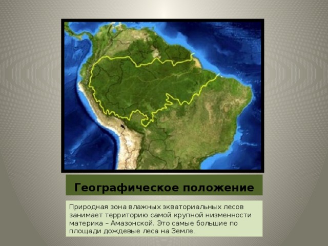 Географическое положение Природная зона влажных экваториальных лесов занимает территорию самой крупной низменности материка – Амазонской. Это самые большие по площади дождевые леса на Земле .