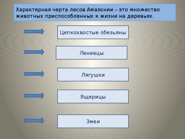 Характерная черта лесов Амазонии – это множество животных приспособленных к жизни на деревьях. Цепкохвостые обезьяны Ленивцы Лягушки Ящерицы Змеи