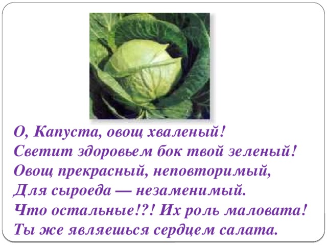 О, Капуста, овощ хваленый! Светит здоровьем бок твой зеленый! Овощ прекрасный, неповторимый, Для сыроеда — незаменимый. Что остальные!?! Их роль маловата! Ты же являешься сердцем салата.