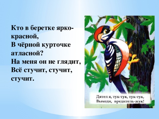 Кто в беретке ярко-красной,  В чёрной курточке атласной?  На меня он не глядит,  Всё стучит, стучит, стучит.