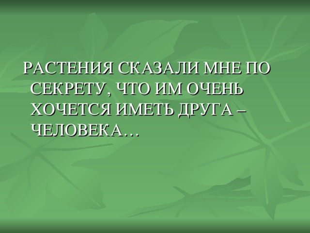 РАСТЕНИЯ СКАЗАЛИ МНЕ ПО СЕКРЕТУ, ЧТО ИМ ОЧЕНЬ ХОЧЕТСЯ ИМЕТЬ ДРУГА – ЧЕЛОВЕКА…