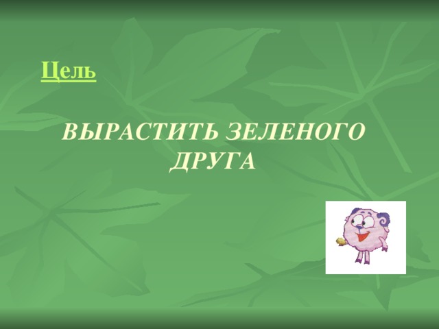 Зеленый друг. Проект на тему вырасти зеленого друга. Вырасти зеленого друга проект для ребенка. Вырасти зеленого друга этапы выращивание проект для ребенка.