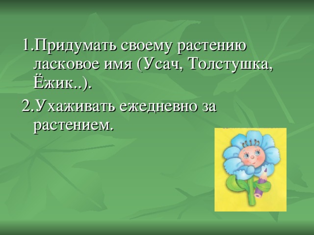 1.Придумать своему растению ласковое имя (Усач, Толстушка, Ёжик..). 2.Ухаживать ежедневно за растением.