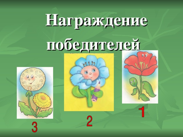 Награждение  победителей