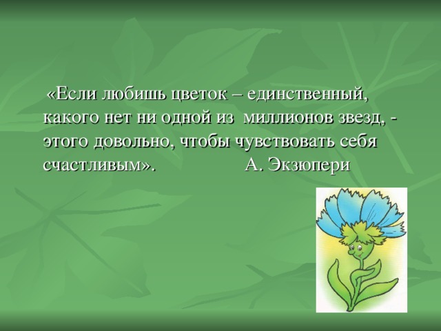«Если любишь цветок – единственный, какого нет ни одной из миллионов звезд, - этого довольно, чтобы чувствовать себя счастливым». А. Экзюпери