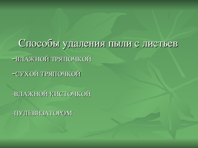 Способы удаления пыли с листьев - ВЛАЖНОЙ ТРЯПОЧКОЙ - СУХОЙ ТРЯПОЧКОЙ -ВЛАЖНОЙ КИСТОЧКОЙ -ПУЛЕВИЗАТОРОМ