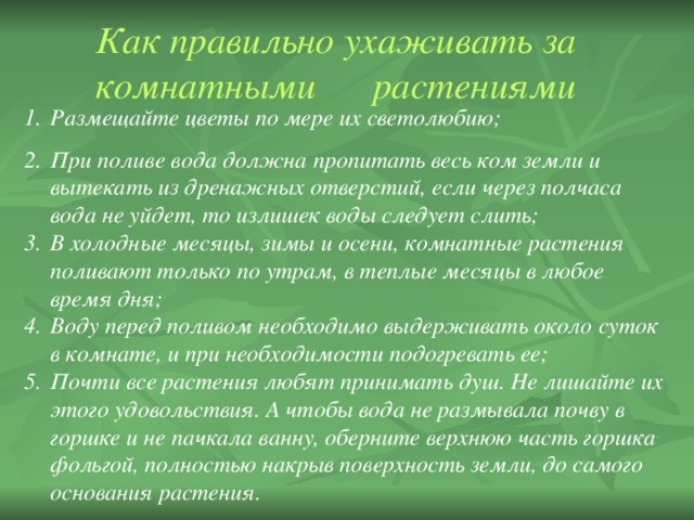 Как правильно ухаживать за комнатными  растениями