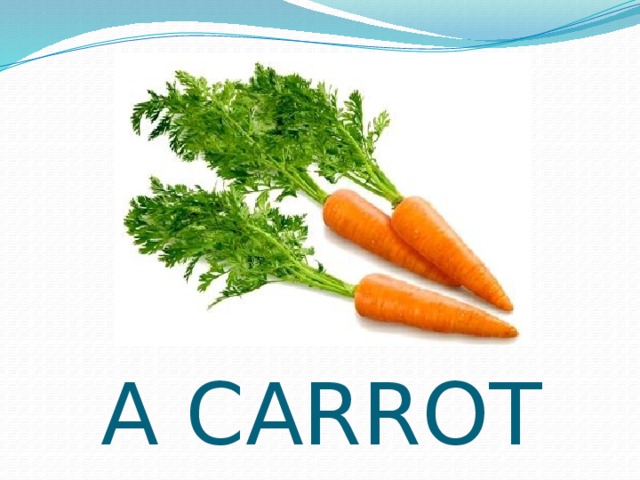 A CARROT