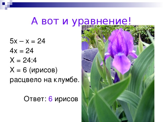 А вот и уравнение! 6