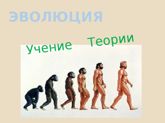 Учение Теории Эволюция