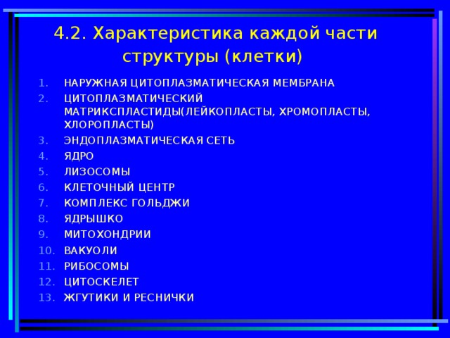 4.2. Характеристика каждой части структуры (клетки)