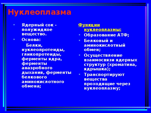 Нуклеоплазма Ядерный сок - полужидкое вещество. Основа: Функции нуклеоплазмы:  Белки, нуклеопротеиды, гликопротеиды, ферменты ядра, ферменты анаэробного дыхания, ферменты белкового аминокислотного обмена;